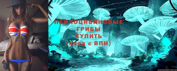 прущий лед Алексин
