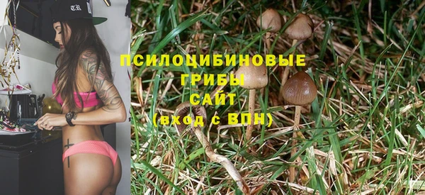 круглые Алзамай