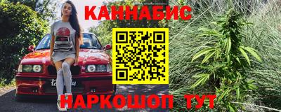 стаф Кандалакша
