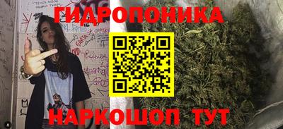 крисы Канаш