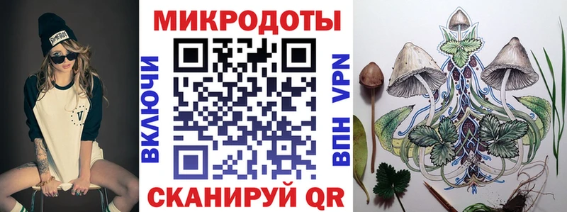 где найти   Котлас  Галлюциногенные грибы Psilocybine cubensis 