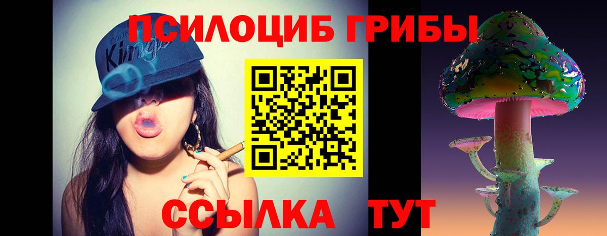 Псилоцибиновые грибы Cubensis  Вход с VPN  наркотики  Котлас 